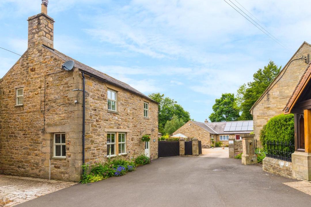 Photo of Others in Catton