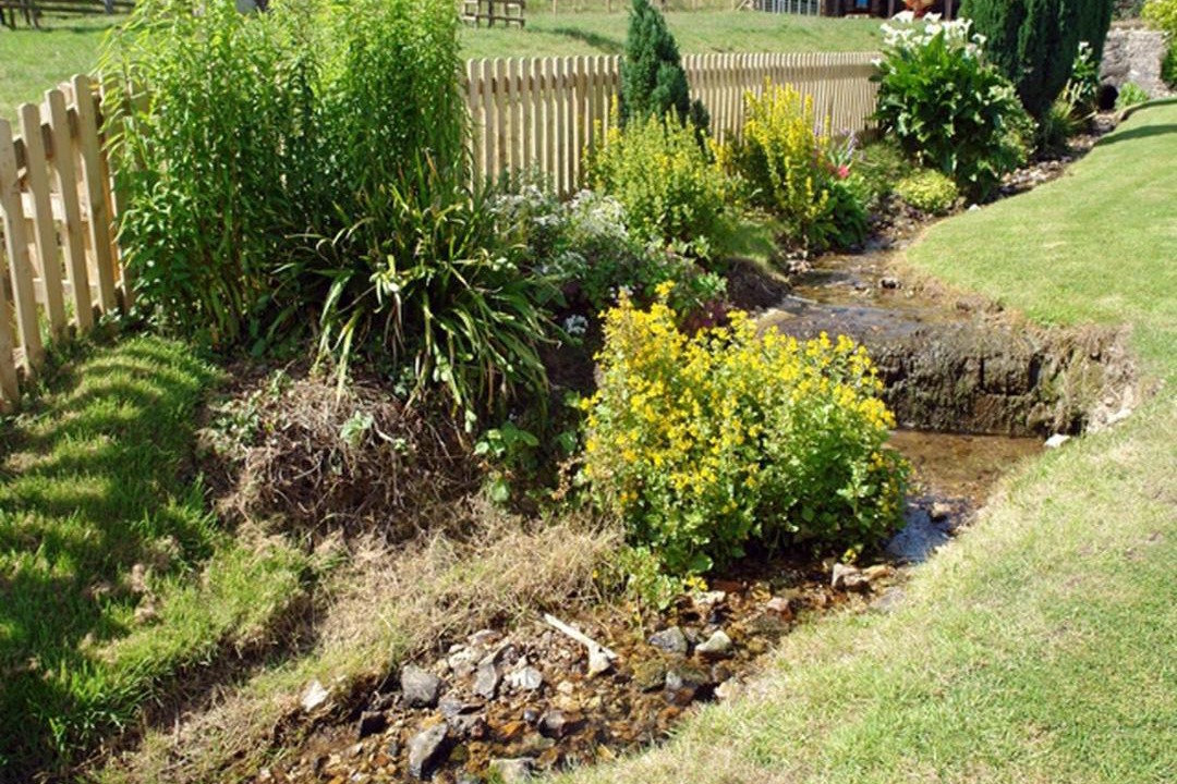 Photo of Others in Colyton