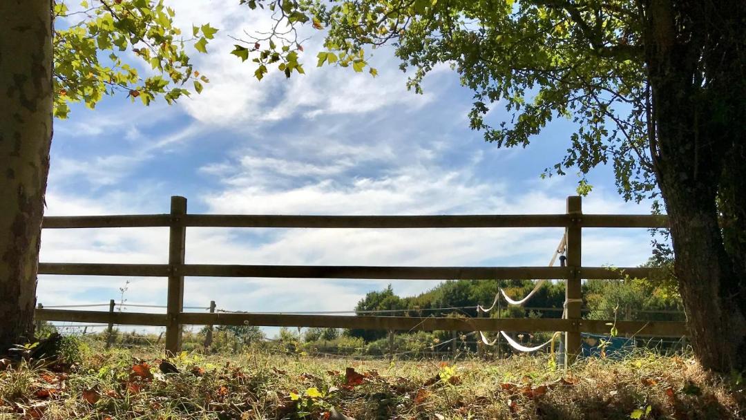 Photo of Others in Leugny