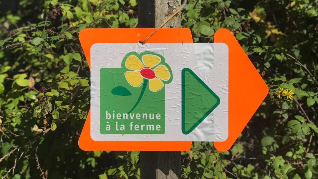 Photo of Others in Leugny