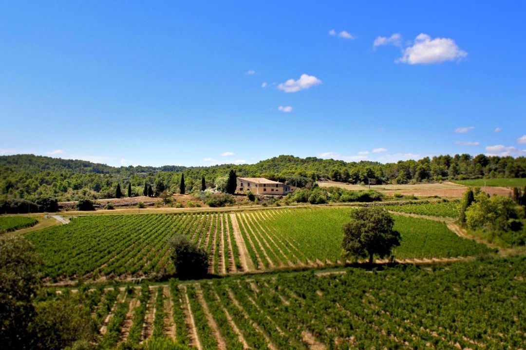 Photo of Others in Laure-Minervois