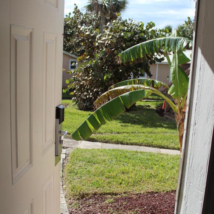 Photo of Others in Reeds