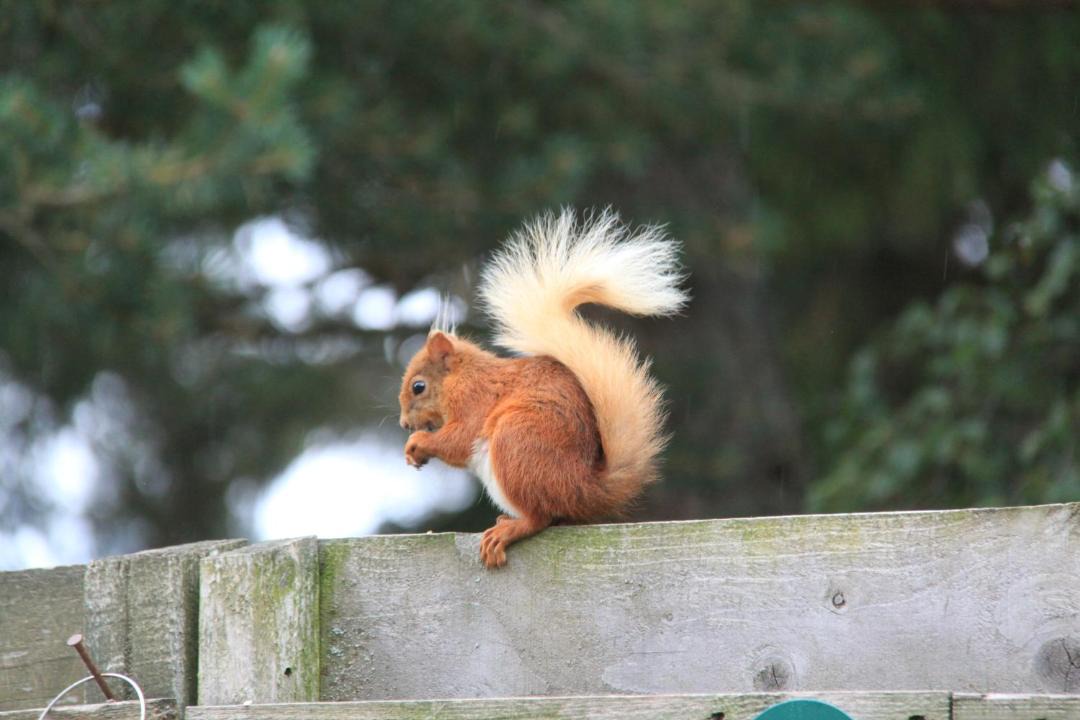 Photo of Others in Braemar