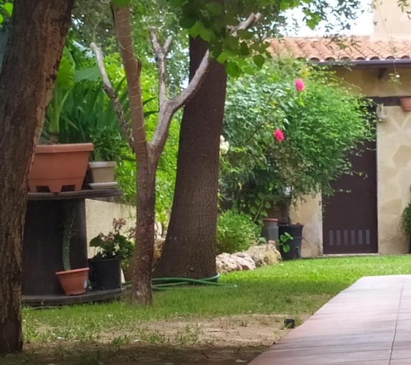 Photo of Others in La Pobla de Vallbona