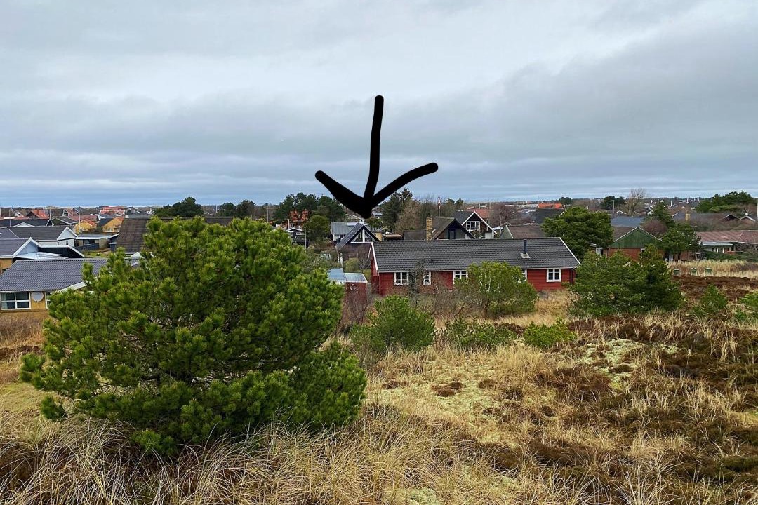 Photo of Others in Skagen
