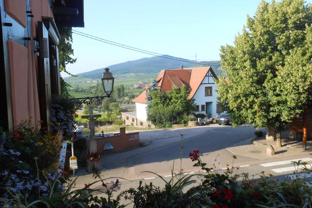 Photo of Others in Itterswiller