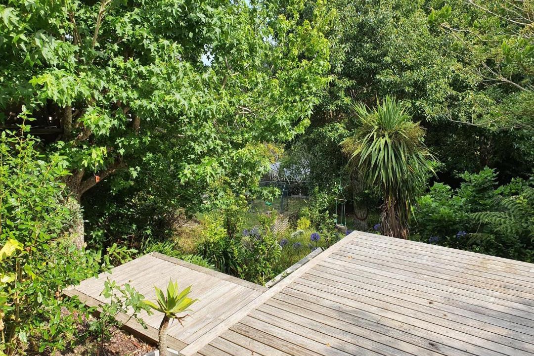 Photo of Others in Castor Bay