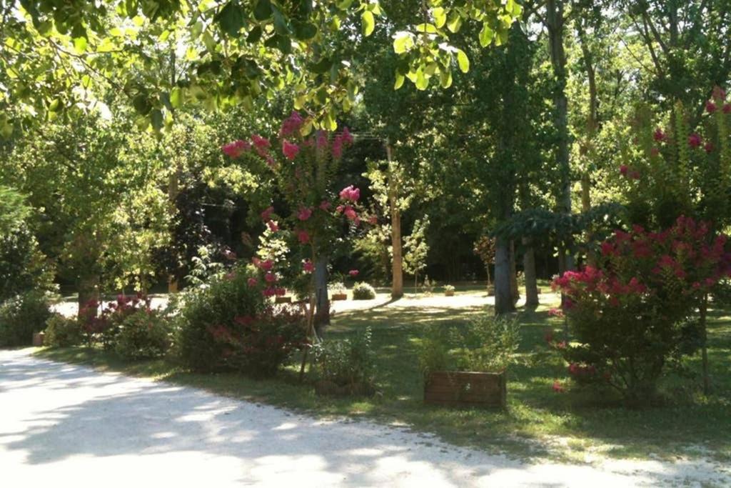 Photo of Outdoor in Saint-Peray