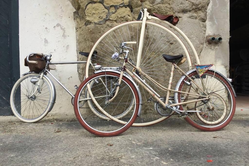 Photo of Others in Bourgogne