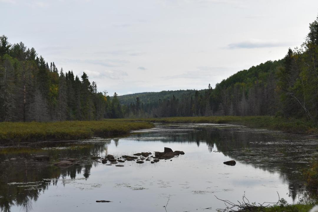 Photo of Others in La Baie