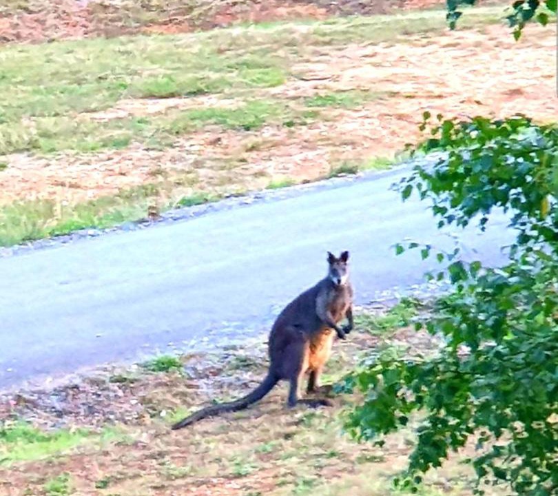 Photo of Others in Marysville