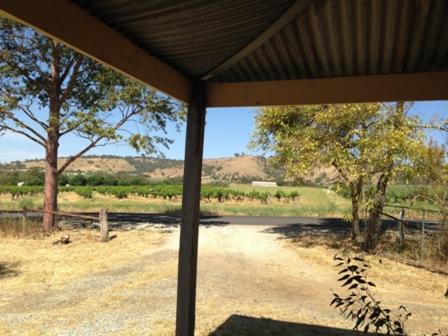 Photo of Others in Bethany