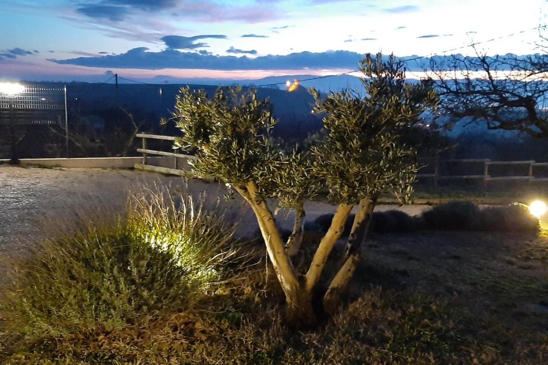 Photo of Others in Mercurol