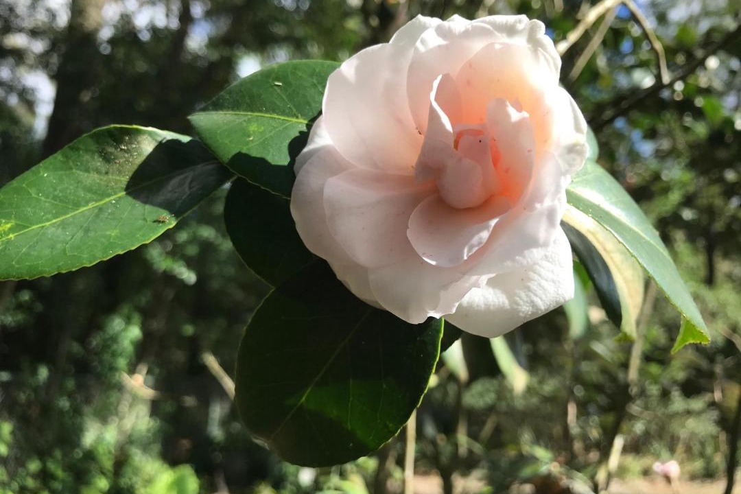 Photo of Others in Great Barrington