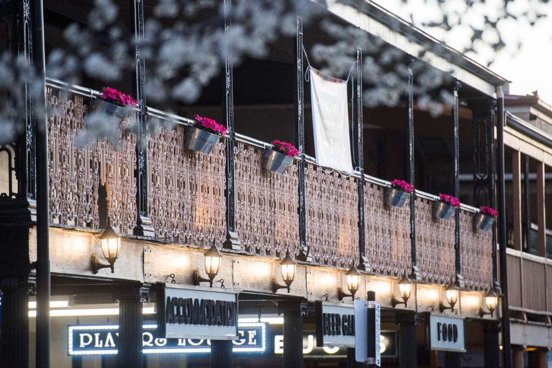 Photo of Others in Central Mudgee