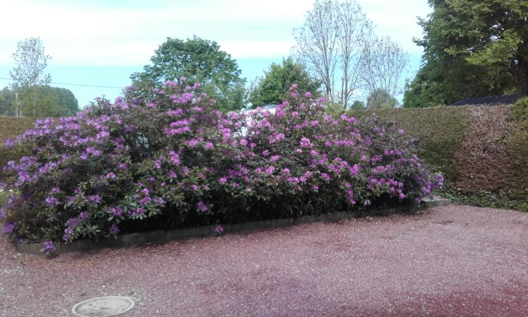 Photo of Others in Ize