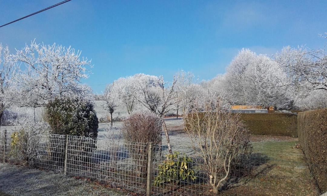 Photo of Others in Ize