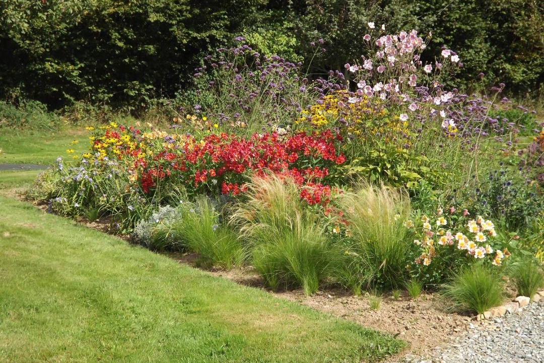 Photo of Others in Ize