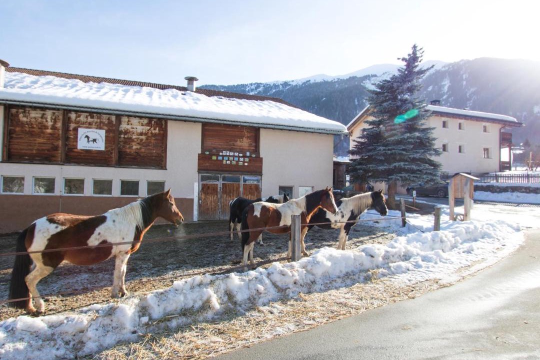 Photo of Others in Val Muestair