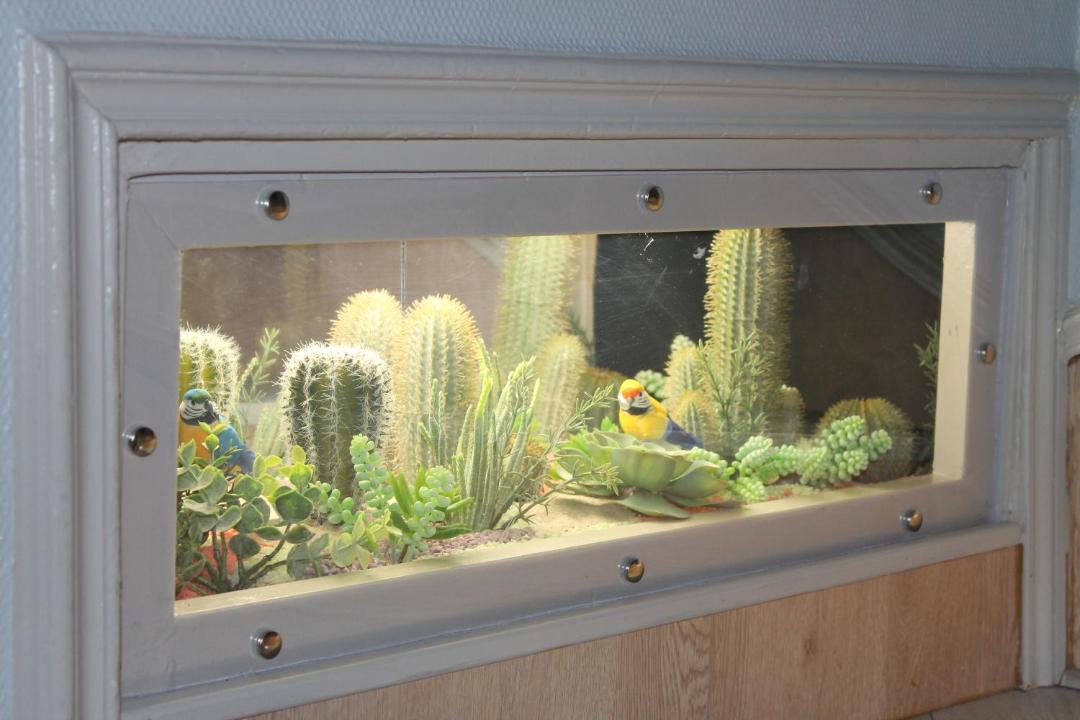 Photo of Others in Chauvigny