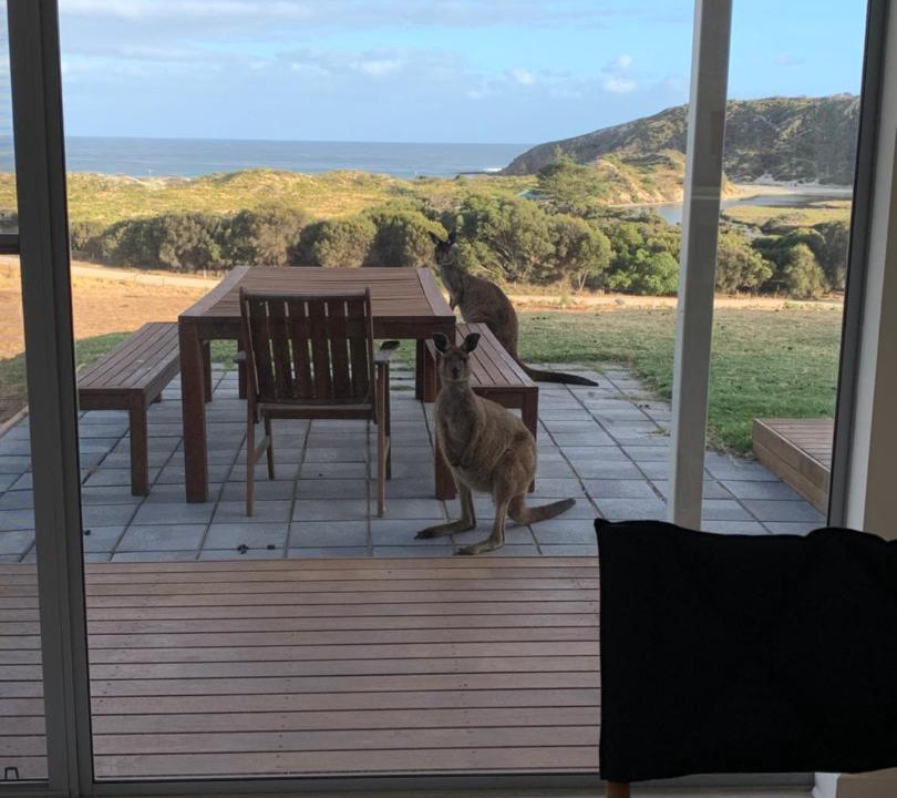 Photo of Others in Duncan