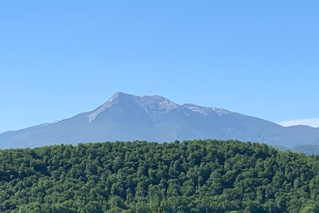 Photo of Others in Estancarbon