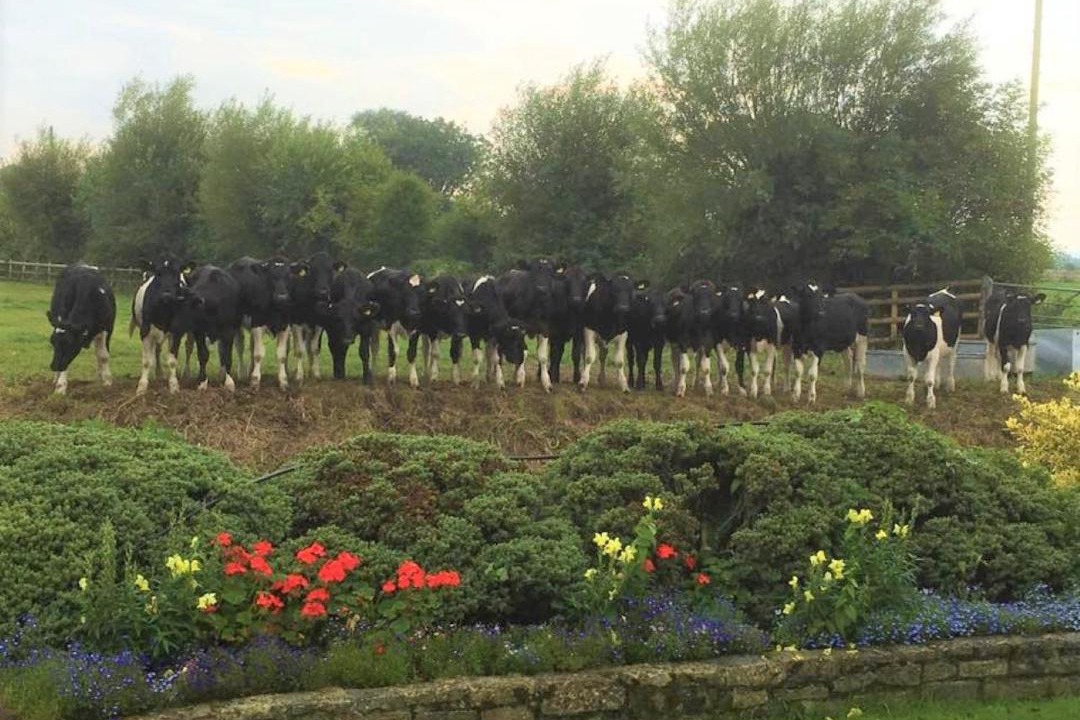 Photo of Others in Lower Godney