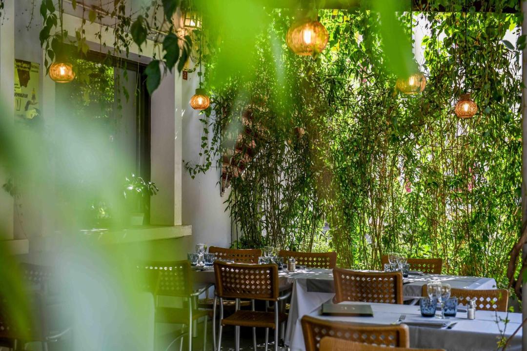 Photo of Others in Amou