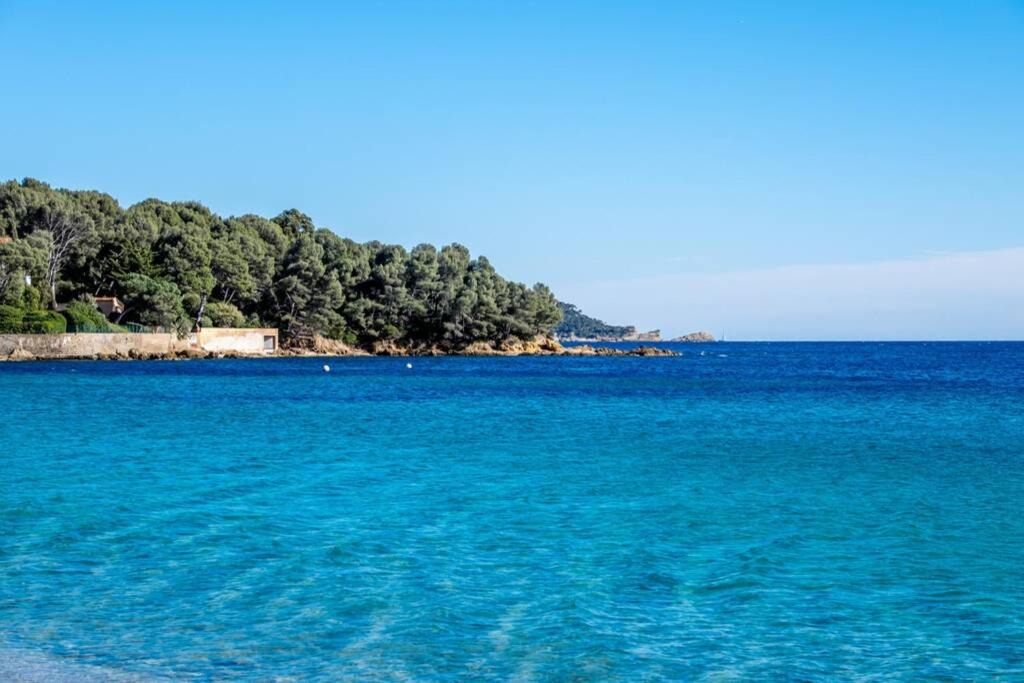 Photo of Outdoor in Le Lavandou