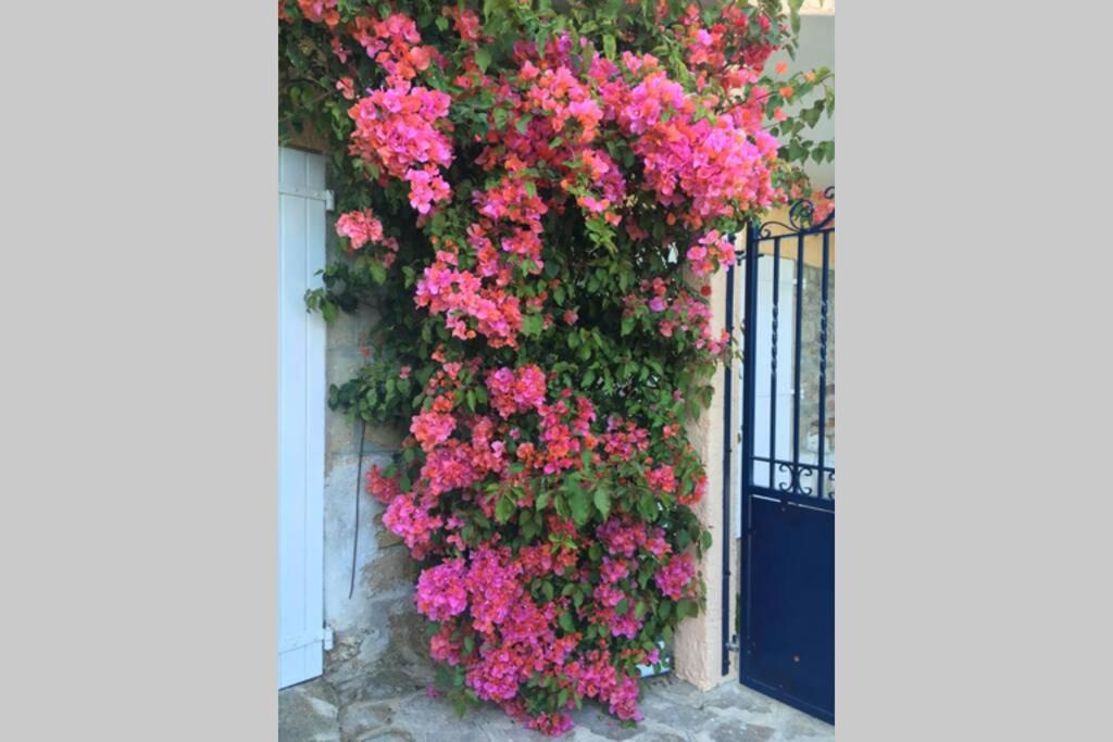 Photo of Others in Le Lavandou