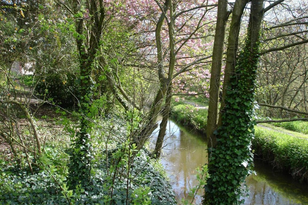 Photo of Others in Dol-de-Bretagne