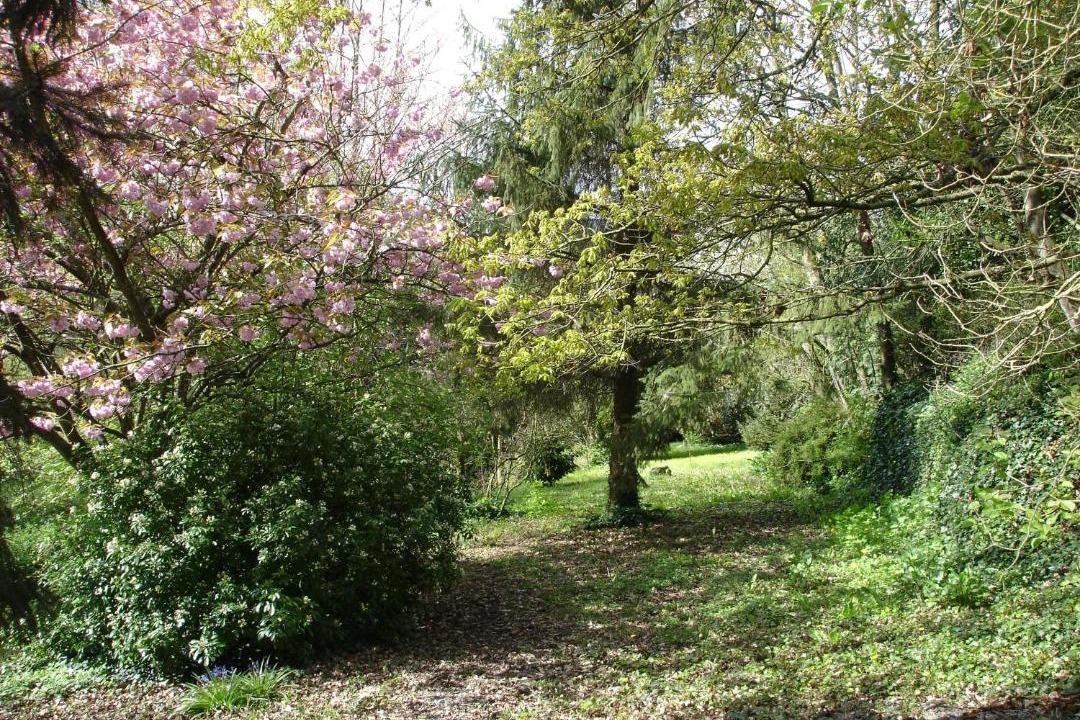 Photo of Others in Dol-de-Bretagne