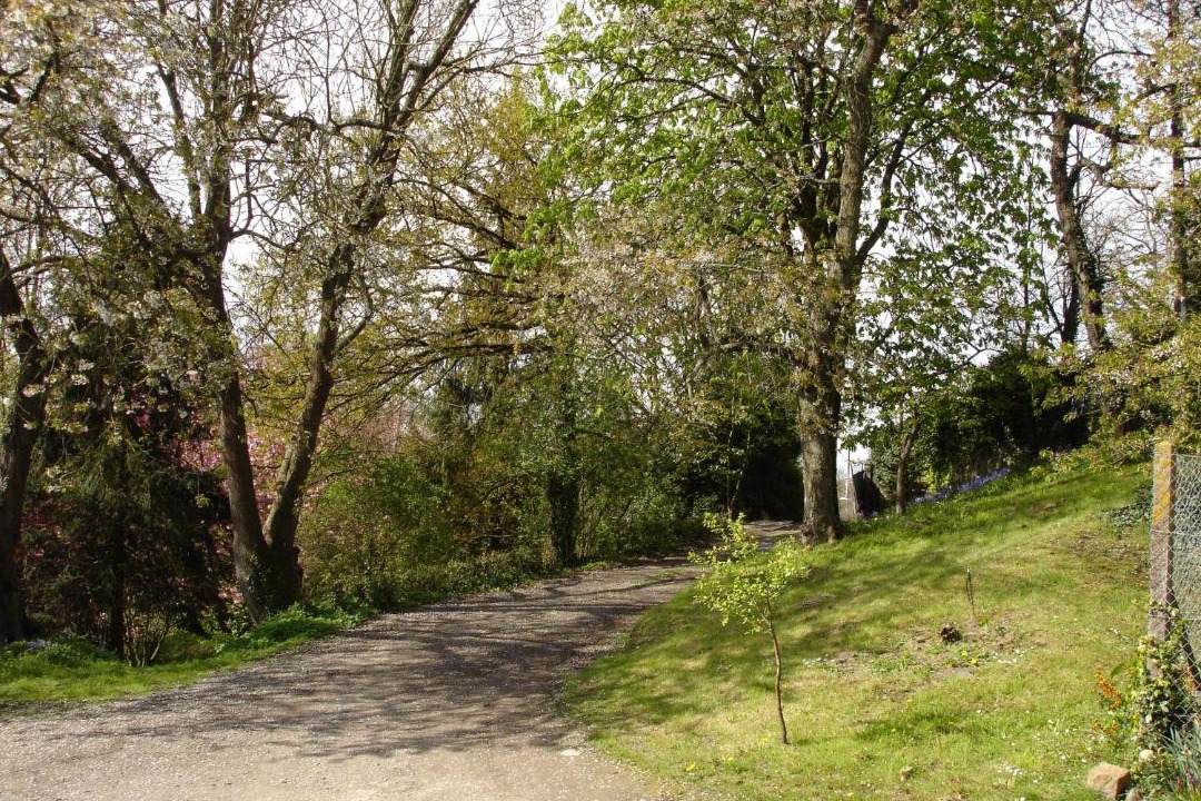 Photo of Others in Dol-de-Bretagne