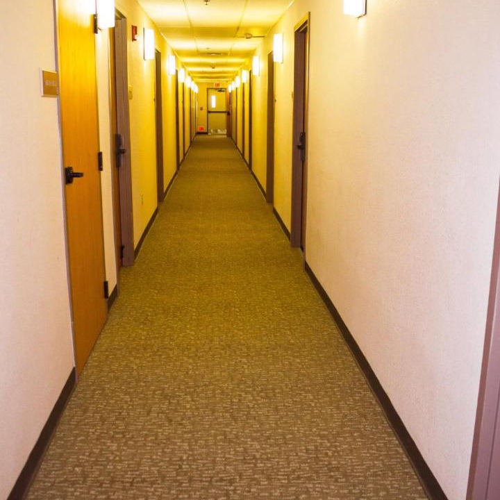 Photo of Others in Sycamore