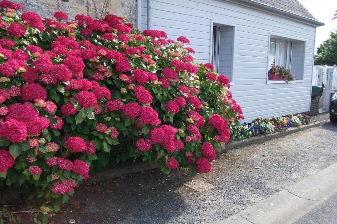Photo of Others in Saint-Laurent-sur-Mer