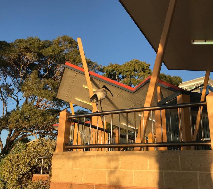 Photo of Buildings in Redcliffe