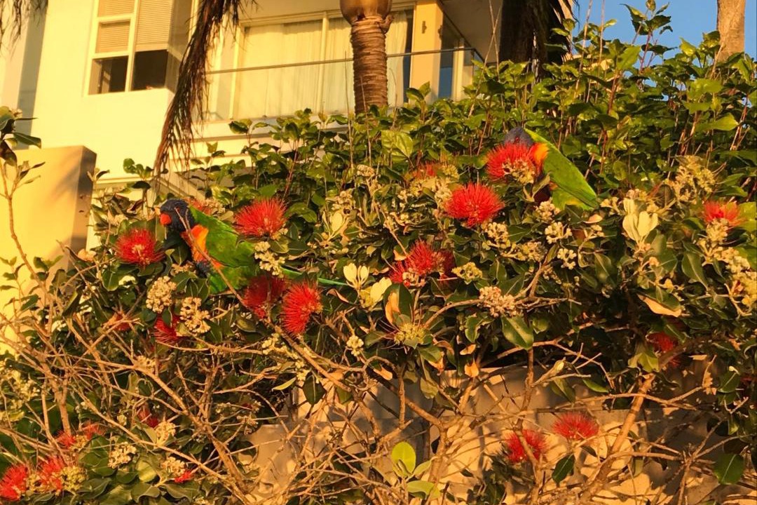 Photo of Others in Redcliffe