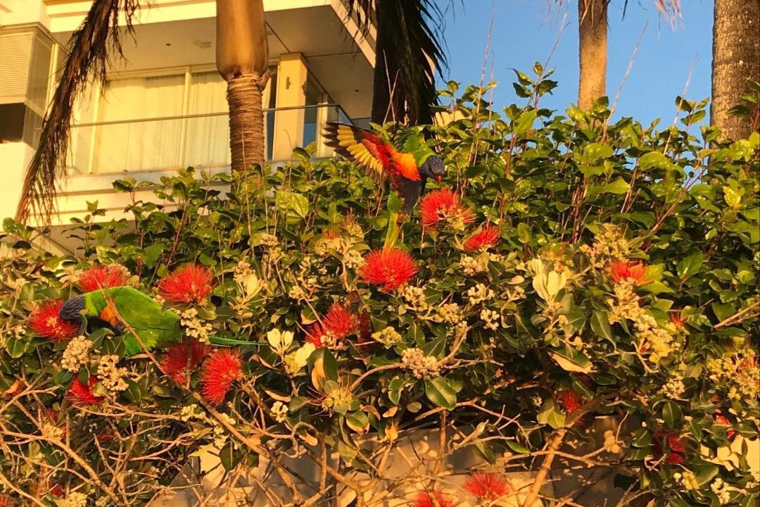 Photo of Others in Redcliffe