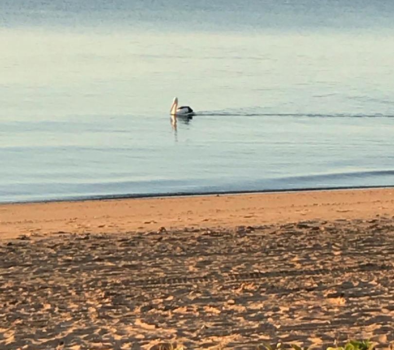 Photo of Outdoor in Redcliffe