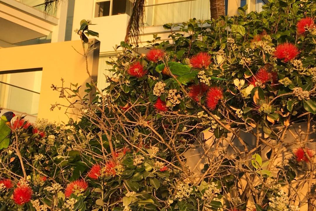 Photo of Others in Redcliffe