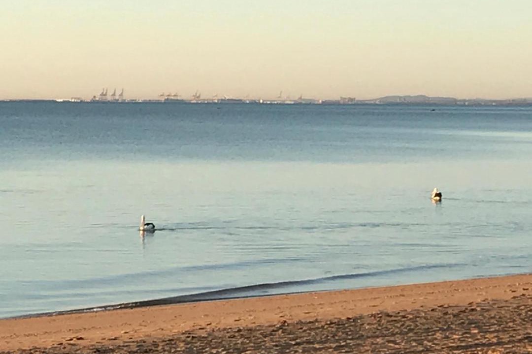 Photo of Outdoor in Redcliffe