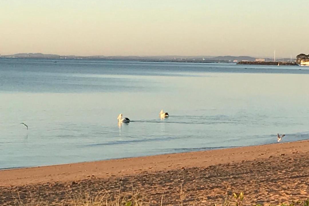 Photo of Outdoor in Redcliffe