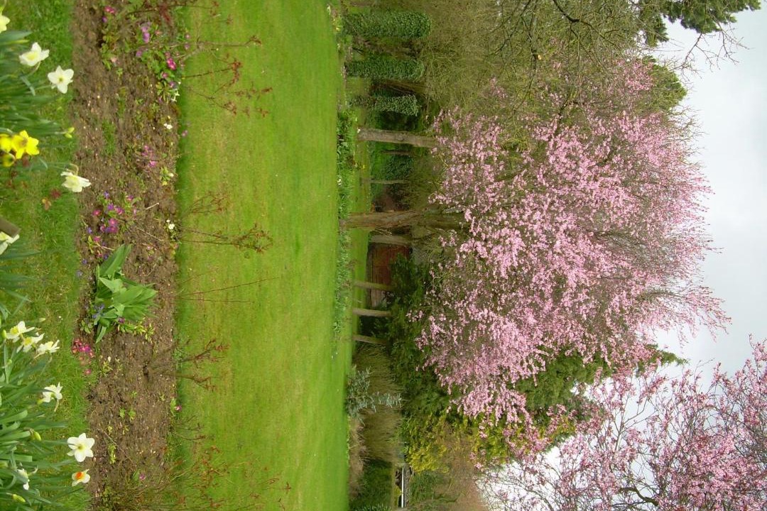 Photo of Outdoor in Anzin-Saint-Aubin