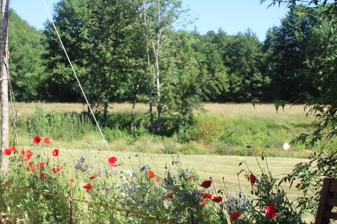 Photo of Outdoor in Saint-Jean-de-Cole