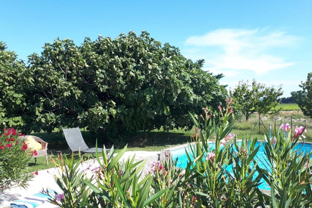 Photo of Outdoor in Lamotte-du-Rhone