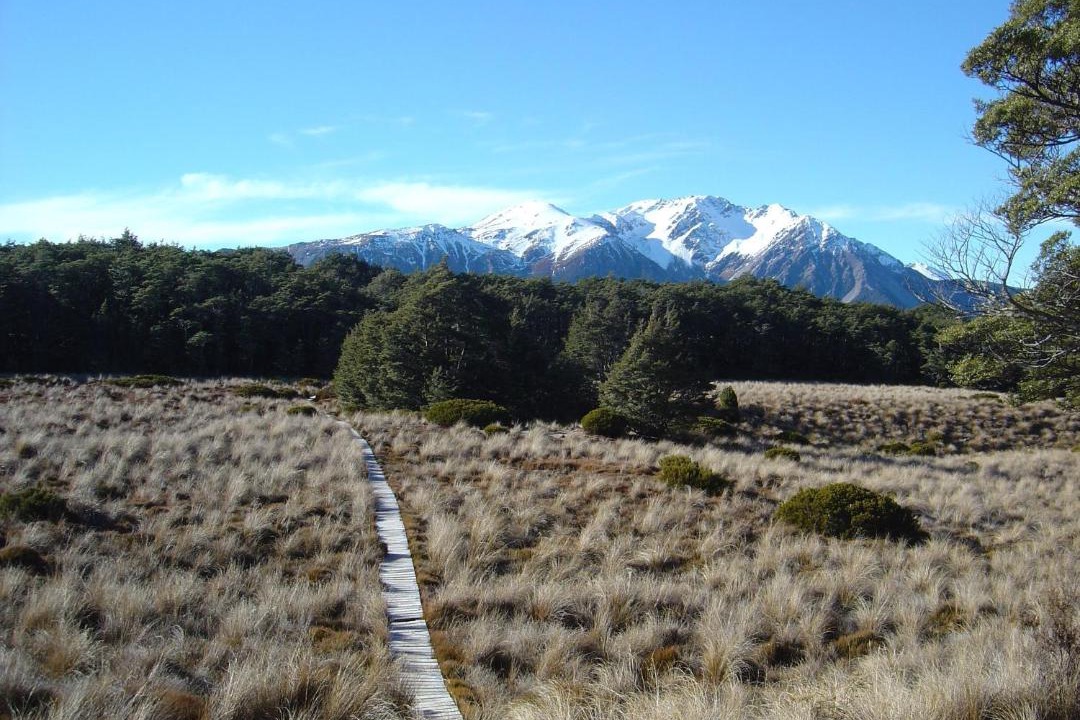 Photo of Others in Arthur's Pass