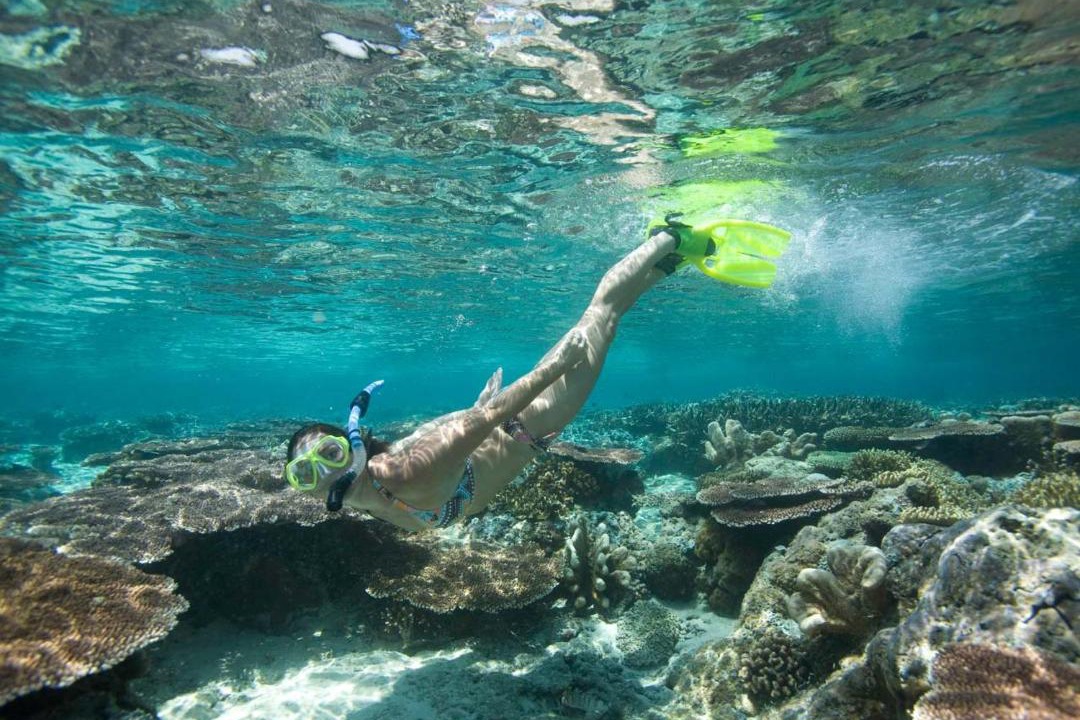 Photo of Others in Tioman Island