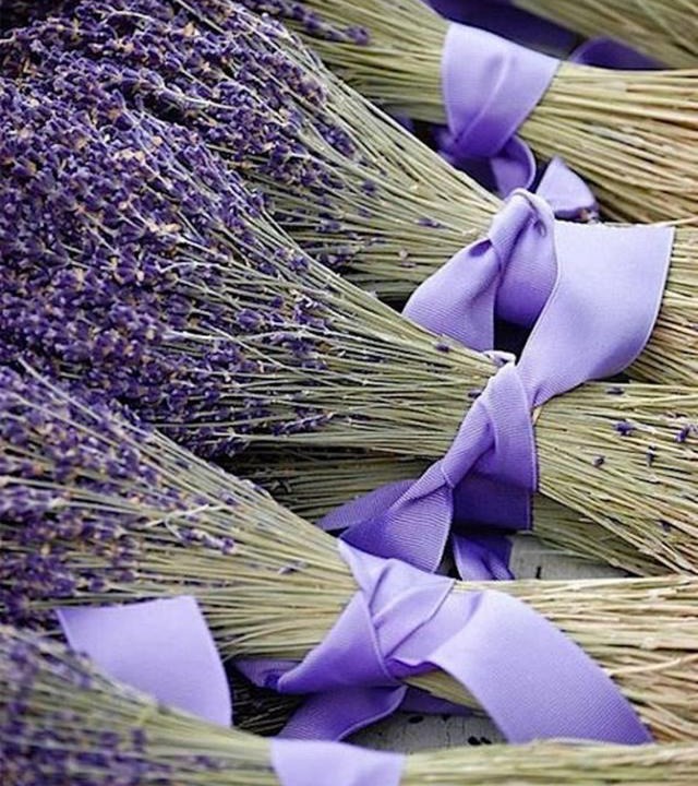 Photo of Others in Sault