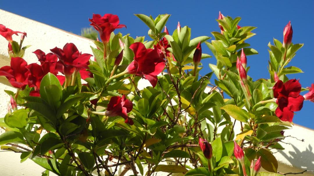 Photo of Outdoor in Lliber