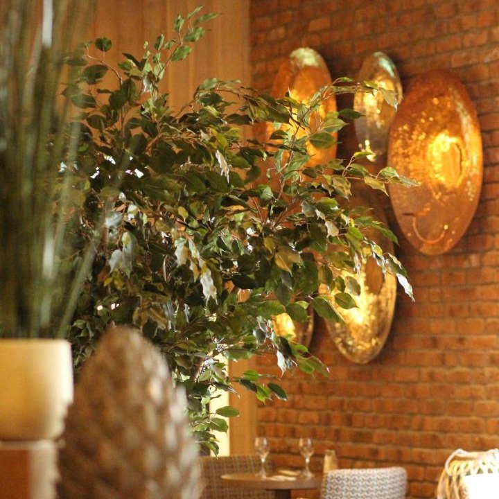 Photo of Others in Irvine